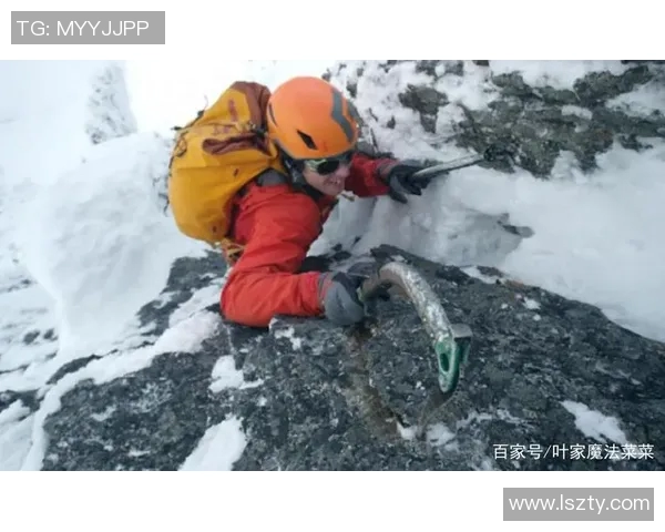 攀登人生的高峰：陈伟与深度对话的攀岩故事