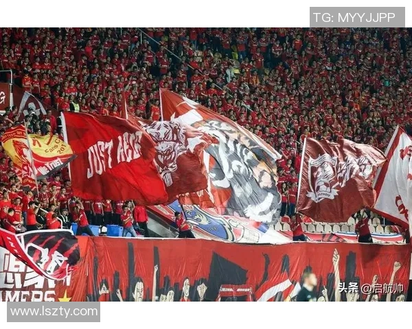 广州排球队实力引发热议球迷观点分歧引关注