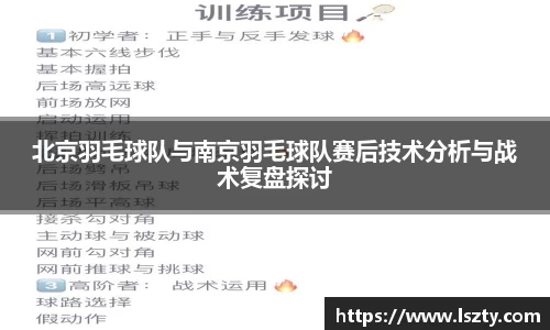 北京羽毛球队与南京羽毛球队赛后技术分析与战术复盘探讨