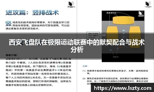 西安飞盘队在极限运动联赛中的默契配合与战术分析