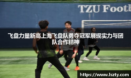 飞盘力量新高上海飞盘队勇夺冠军展现实力与团队合作精神